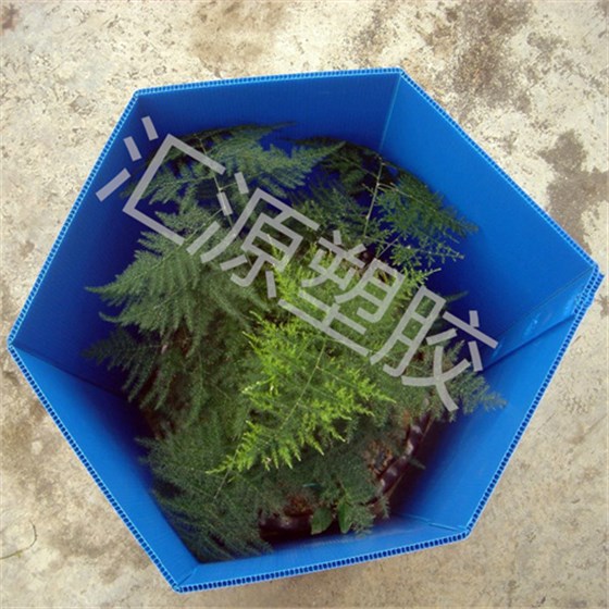 Custom Durable Weather-proof Polygonal Corflute Plant Protection2