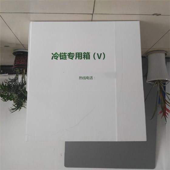 冷链中空板周转箱