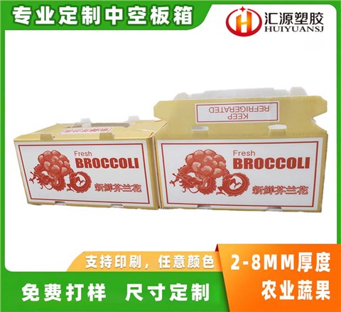 蔬菜水果包装箱