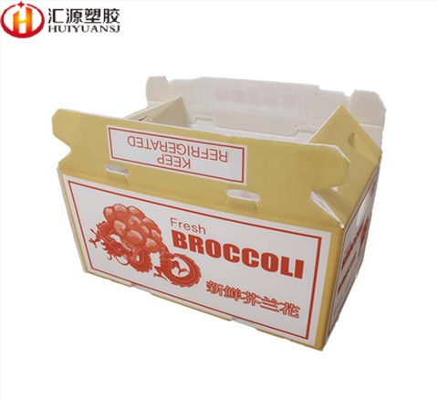 蔬菜水果包装箱
