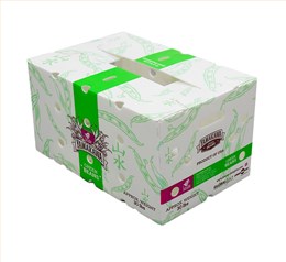 白色纸箱式中空板周转箱