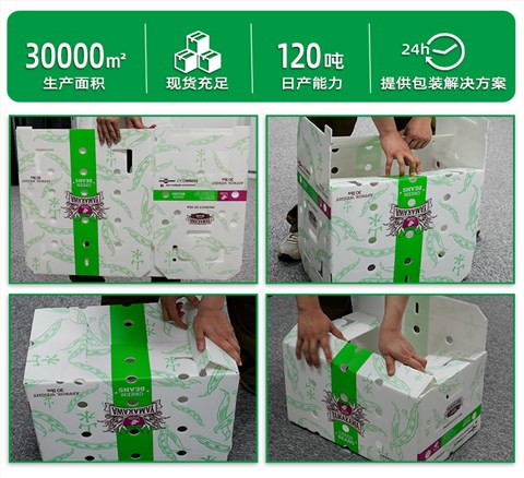 白色纸箱式中空板周转箱