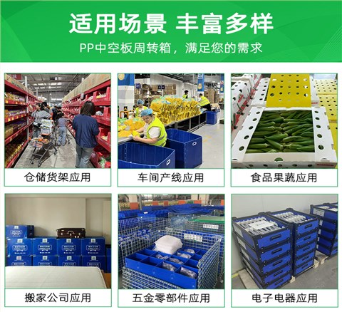 白色纸箱式中空板周转箱