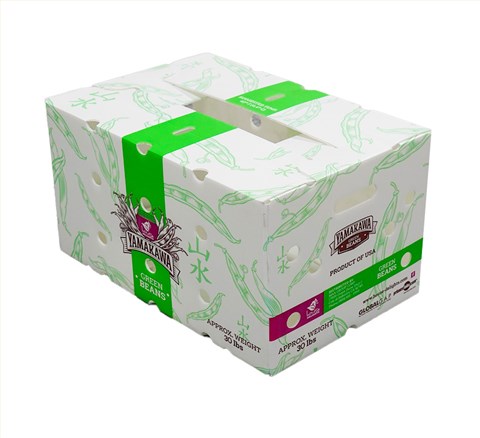 白色纸箱式中空板周转箱