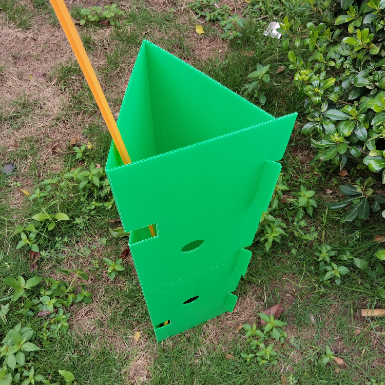 树苗保护板